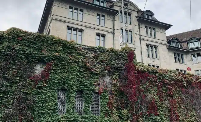 Vine Plants on a Gate of Concrete Building