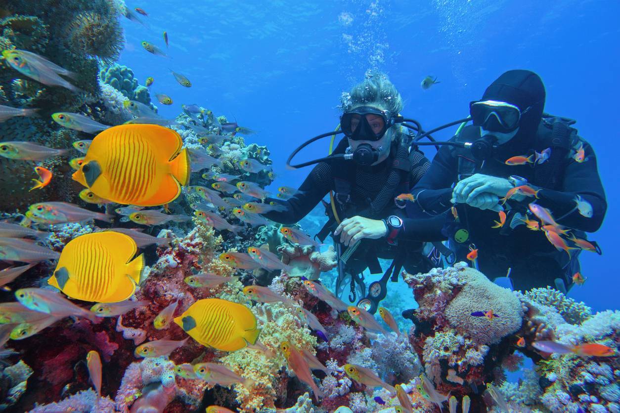 plongée sous-marine activité